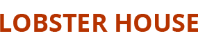 website logo